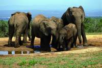 Gruppenreise Südafrika, Lesotho - Garden Route & Lesotho - Camping oder Lodge Safari